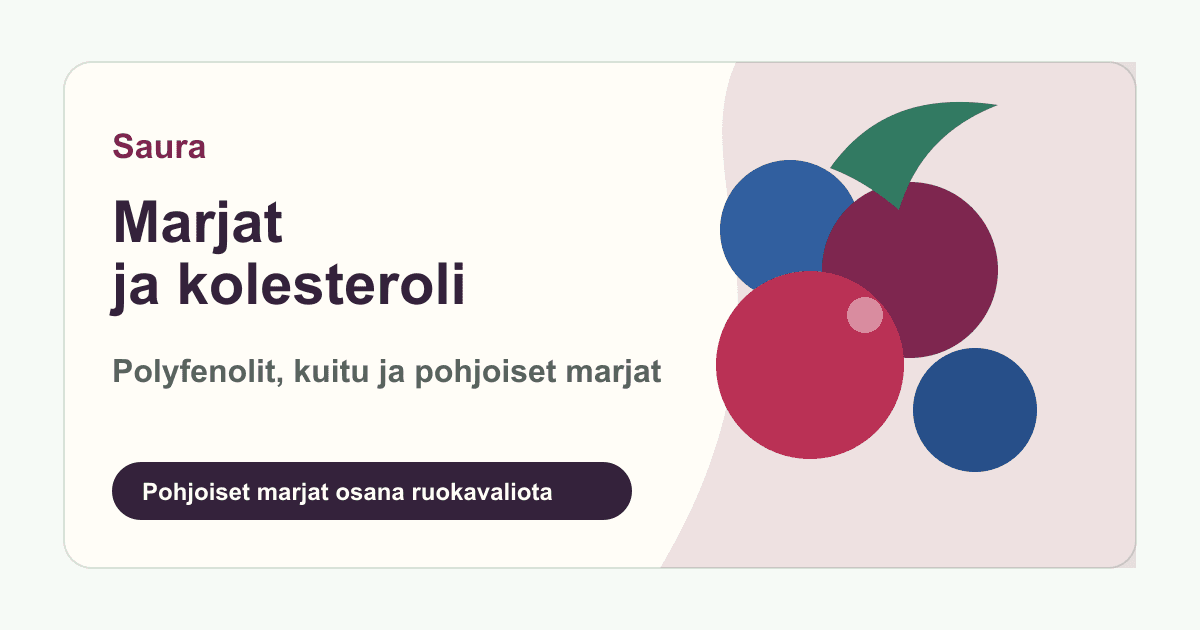 Marjat ja kolesteroli – polyfenolit, kuitu ja pohjoiset marjat